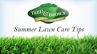 Teed & Brown Lawn Care Tip: Don't Over Water