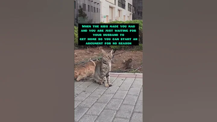 video output 4027F641 21EC 4D39 9741 0699DDF3B3B0 1