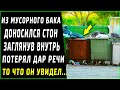 Из мусорного бака доносился стон, когда пожилой мужчина заглянул внутрь потерял дар речи...