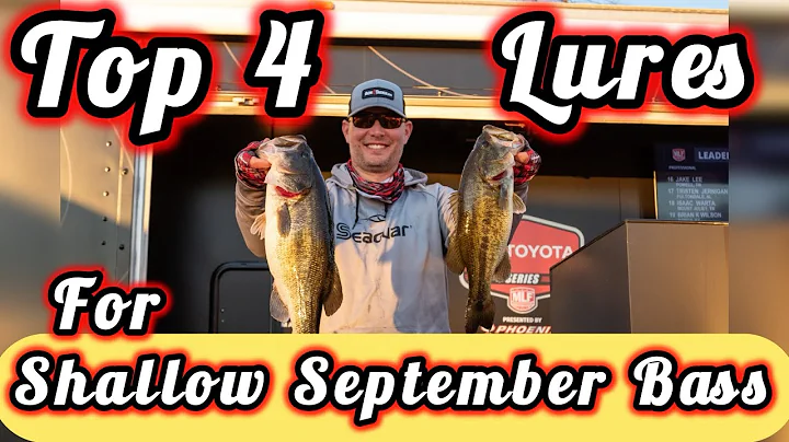 Top 4 Lures for Shallow September Bass #bassfishing