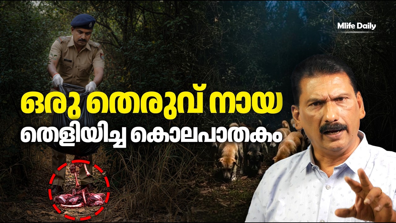 5 കിലോമീറ്ററുന്നുള്ളിൽ 19 സ്ഥലത്തായി ഒരു ബോഡി ഭാഗങ്ങൾ ..| BS CHANDRA MOHAN |MLIFE DAILY