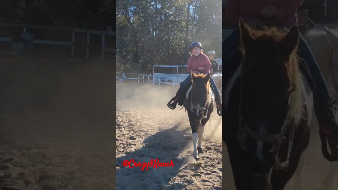 Happy New Year!! Here's to cowboys! horse tallahassee rescue 