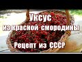 378_Уксус из красной смородины. Рецепт из СССР