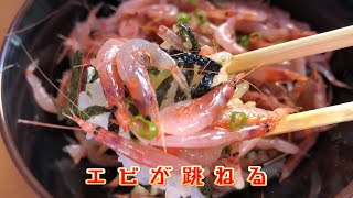 【これ食べ】大井川港漁協直営食堂で生桜えびの大群