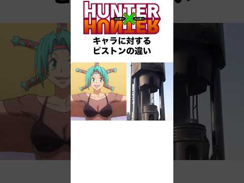 HUNTER×HUNTERキャラに対するピストンの違い #hunterxhunter #ハンターハンター #hxh #アニメ #shorts