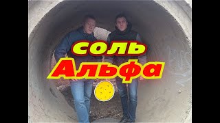 СОЛЬ , АЛЬФА. ПЕРЕДОЗ. никогда не пробуй это! СМЕРТЬ!