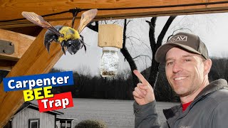 carpenter bee trap 4x4 build