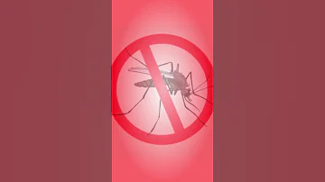 Sound That Destroys Mosquitoes And Midges Anti Mosquito Repellent Anti Mosquito Sounds Repellent 