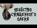 Анализ фильма "Уби№ство священного оленя": связь с античной традицией