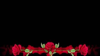 Футаж Красные Розы (Бордюр)