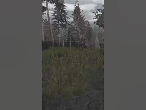 Как проходить через поле аномалий в сталкер онлайн #stalker - YouTube