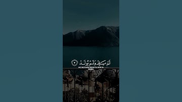 سورة الإخلاص للقارئ ماهر المعيقلي 💙🎧 حالات واتس اب دينية