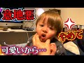 2歳児に意地悪するパパ…ほっぺをムニュムニュしたくなるんです…嫌がるしぃしぃ