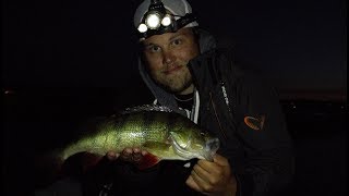 HALVMETER ABBORRE MITT I NATTEN |  Nattfiske med Fish n' Slips