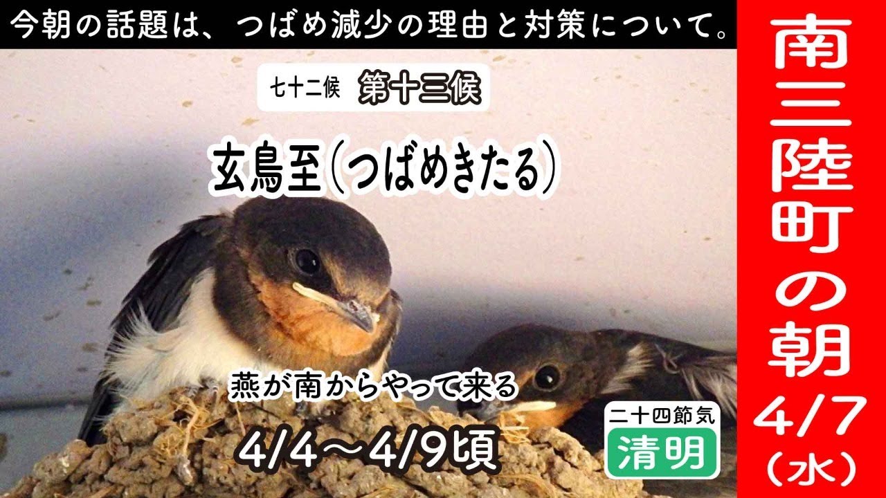 21年4月7日 水 南三陸町の朝の様子 今朝の話題はつばめ減少の理由と対策について 毎朝ライブ配信 Youtube