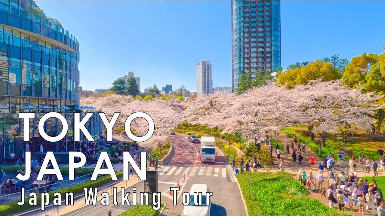 Tokyo, Japon | Roppongi | Balade sous les Cerisiers en Fleurs 4K