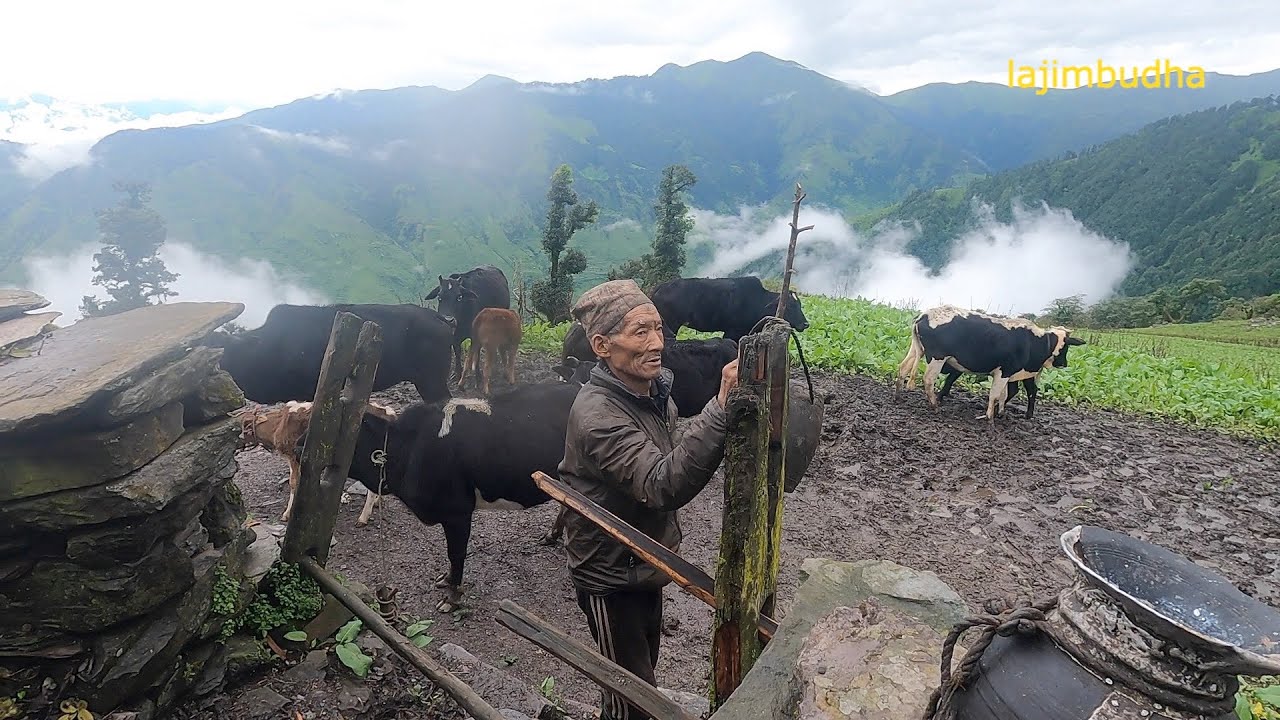 ⁣the pastoral life || chapter-18 || Nepal??|| lajimbudha ||