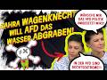 Wagenknecht und das BSW auf Stimmenfang gegen AfD