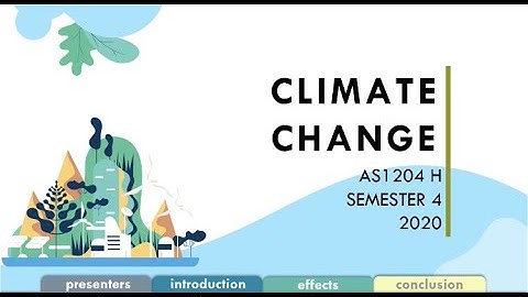 Cause and Effects of Climate Change | CSC 134 video assignment |