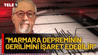 Çanakkale'deki deprem 'İstanbul' habercisi mi? Prof. Dr. Naci Görür cevapladı