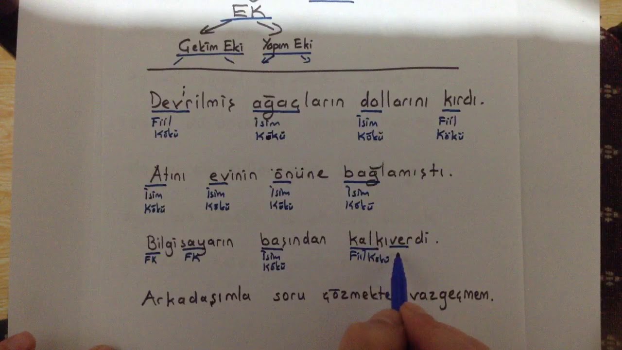 Sözcükte Yapı Metin İncelemesi 1