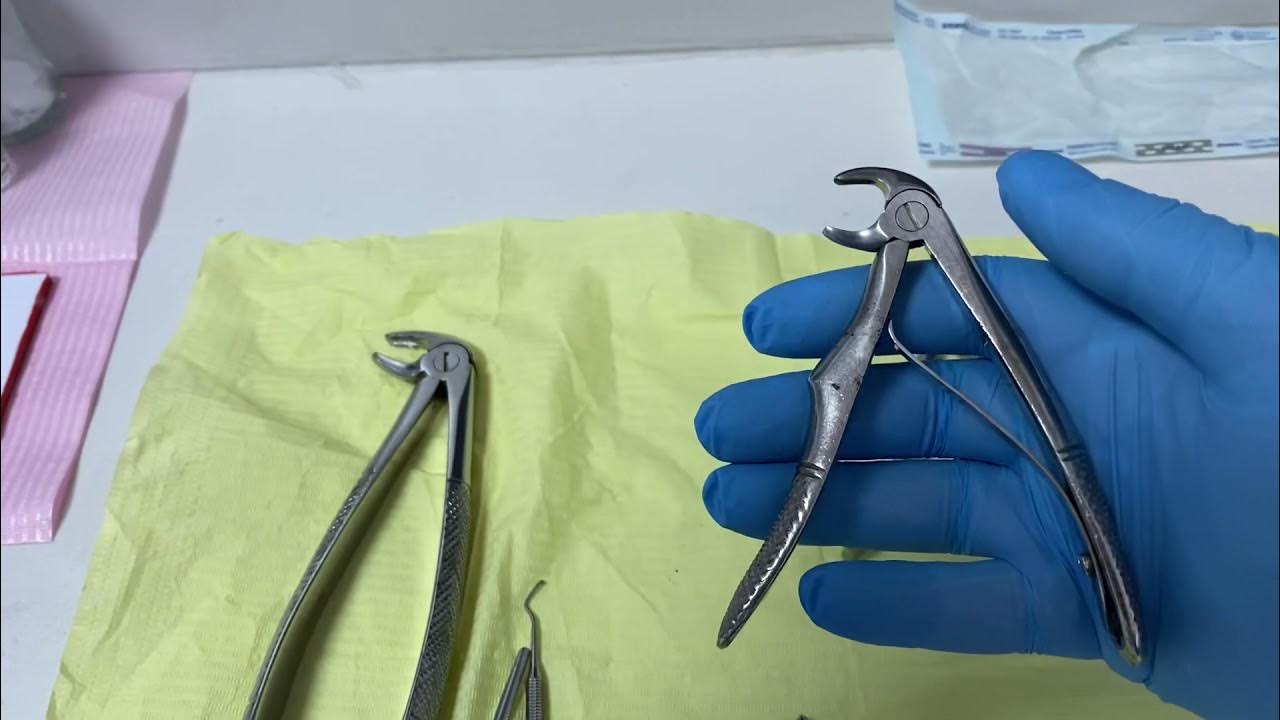 The extraction forceps of primary teeth , how grip it and how to