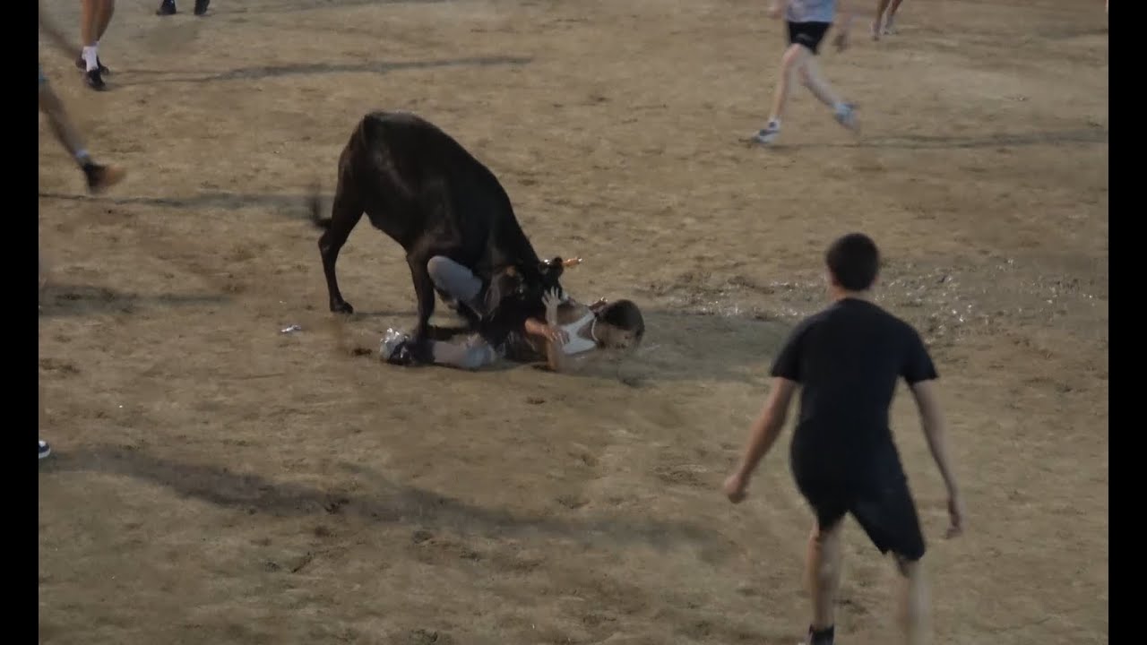 Saint-Jean-de-Védas ▶taureaux piscine◀ 27.05.2023 😂