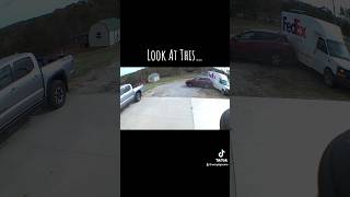 Download Lagu Special Delivery! ✉️📦Wife caught on camera backing in to FedEx truck… 🤦🏻♂️#fail #caughtoncamera MP3 Download Lagu Special Delivery! ✉️📦Wife caught on camera backing in to FedEx truck… 🤦🏻♂️#fail #caughtoncamera MP3