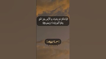 سورة القصص الآية ٣٨ الى ٤٠ بصوت الشيخ محمد صديق المنشاوي