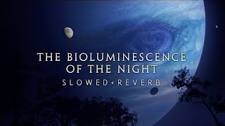 Avatar - The Bioluminescence of the Night (Slowed + Reverb)