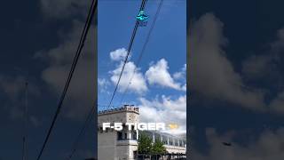 ✈️🔥 Raw sound of the Northrop F-5 Tiger II in action.✈️🦅Real aviation. No filters.