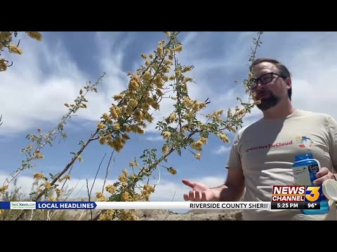 Valley residents can earn California Naturalist Certification for free