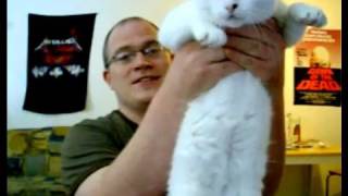 pointless cat video (nothing to do with science,atheism,etc)