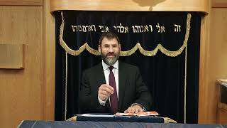 TImeless Torah - Korach 5786