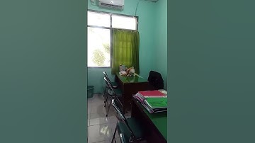 Kucing Daftar Nikah di KUA Dukuh Pakis #penyuluhagamaislambergerak #kucinglucu