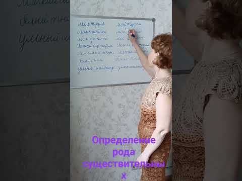 Определение рода имён существительных