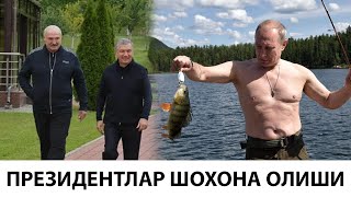 Мирзиёев-Путин Шохона дам олиши-?