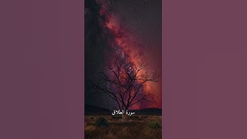 { و من يتق الله يجعل له من أمره يسراً } [ سورة الطلاق : 4 ] | القارئ الشيخ ماهر المعيقلي