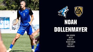 Noah Dollenmayer 2022 Soccer Highlights