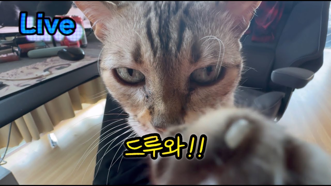 일단 드루와 봐요~