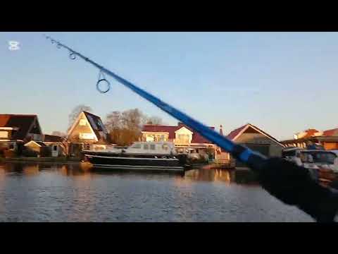 visvideo #03