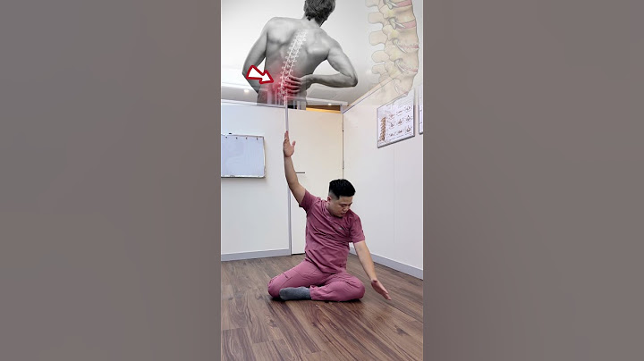 Lower back exercises without assistance. Everyone follow along! #vungocson #drson #shorts