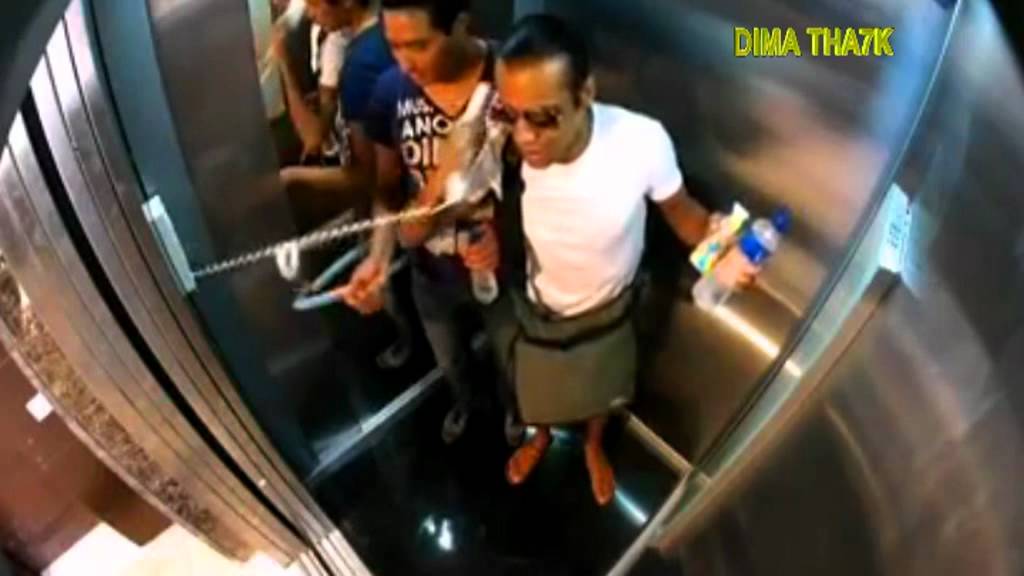 التمساح الحلقة 14