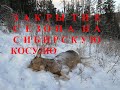 ЗАКРЫТИЕ СЕЗОНА ОХОТЫ НА СИБИРСКУЮ КОСУЛЮ / CLOSING OF THE SIBERIAN ROE DEER HUNTING SEASON