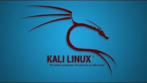 install something ...ANYTHING in Kali Linux terminal