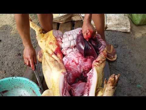 वीडियो: दौनी के साथ सूअर का मांस कैसे भूनें