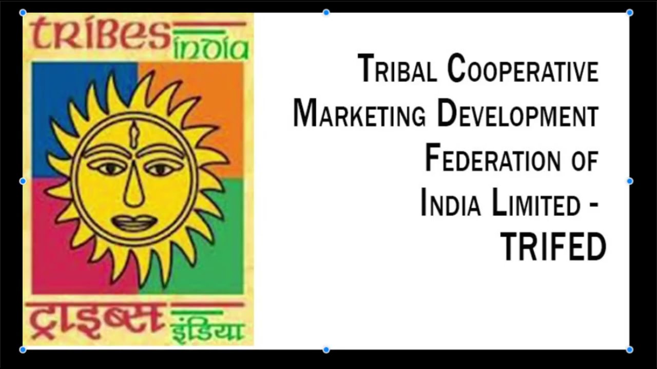 TRIFED   Tribal Cooperative Marketing Development Federation of India