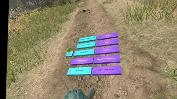 Virtual Reality Simulator for Visual Impairments