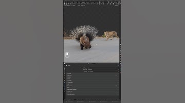 Blender Shadow Catcher Houd schaduwen op een transparante achtergrond