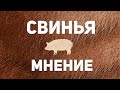 Свинья - Мнение о фильме